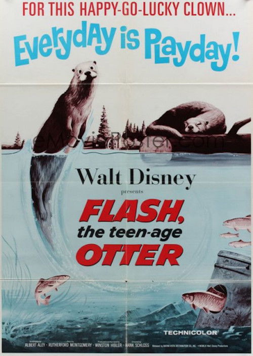 Movie poster for Flash, The Teenage Otter (1961)