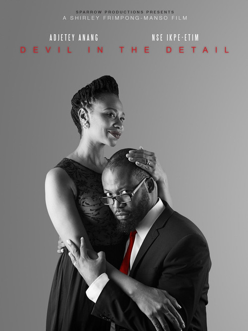 Movie poster for Devil in the Detail (2014)