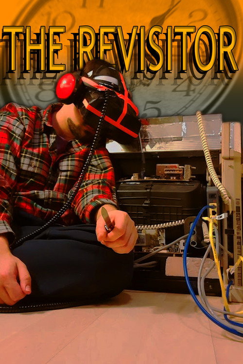 Movie poster for The Revisitor
