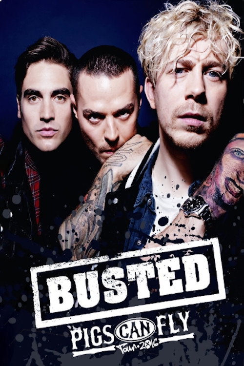 Movie poster for Busted: Pigs Can Fly Tour 2016 (2018)
