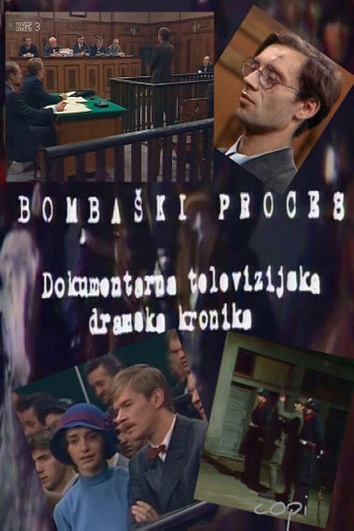 Movie poster for Bombing Process (1978)