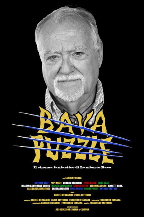 Movie poster for Bava Puzzle (2018)