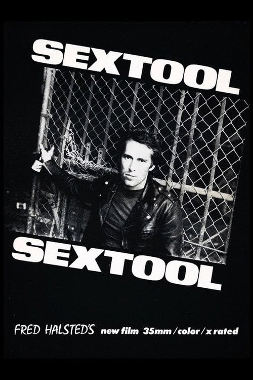 Movie poster for Sextool (1975)