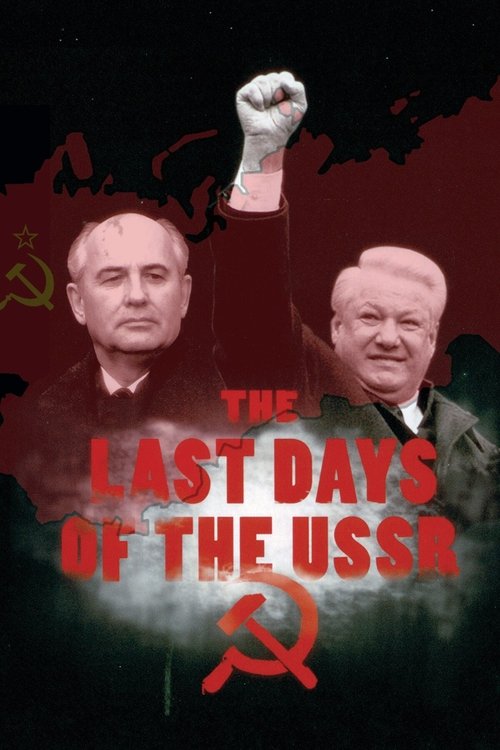 Movie poster for The Last Days of the USSR (2011)