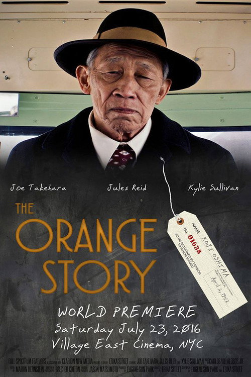 Movie poster for The Orange Story (2016)