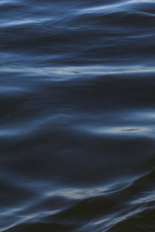 Movie poster for The Flood (2021)