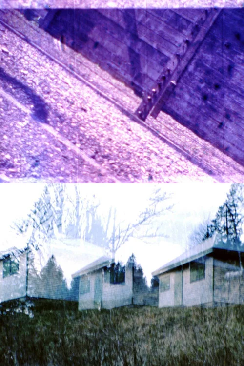 Movie poster for HEIDEGGER IN AUSCHWITZ (2016)