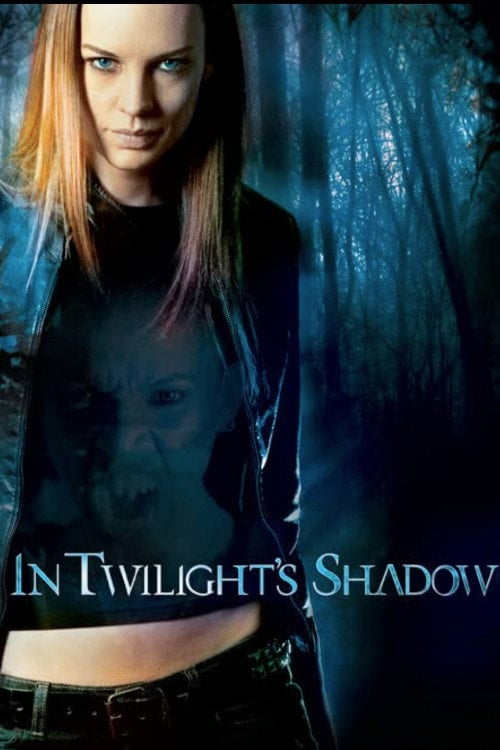 Movie poster for In Twilight's Shadow (2008)