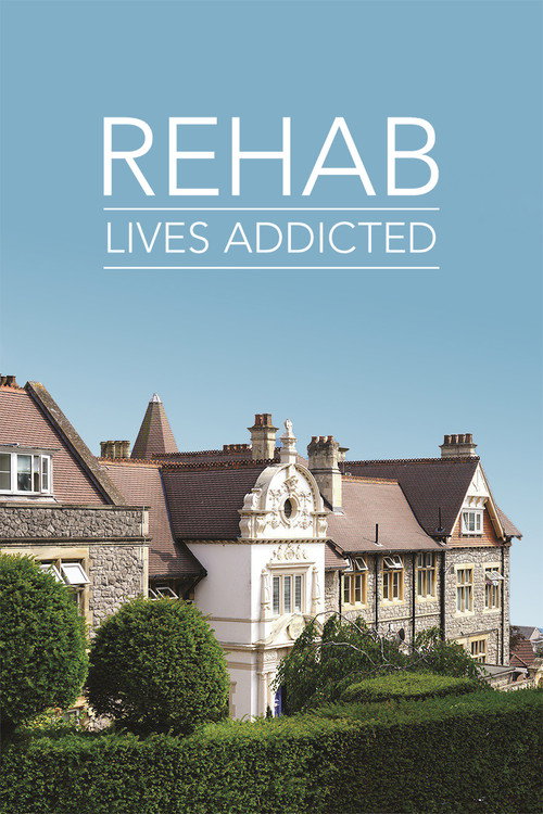 Movie poster for Rehab: Lives Addicted (2017)