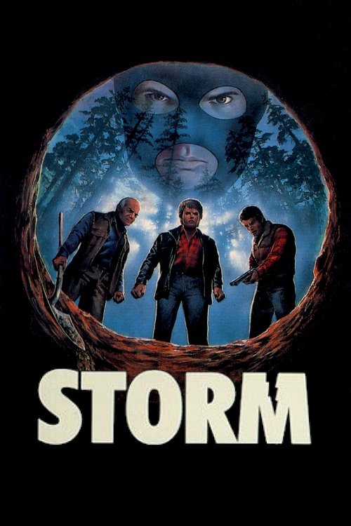 Movie poster for Storm (1987)