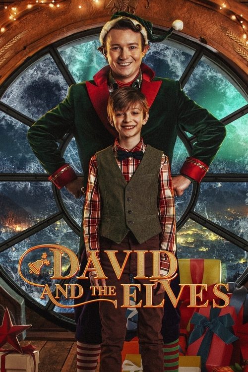 Movie poster for David and the Elves (2021)