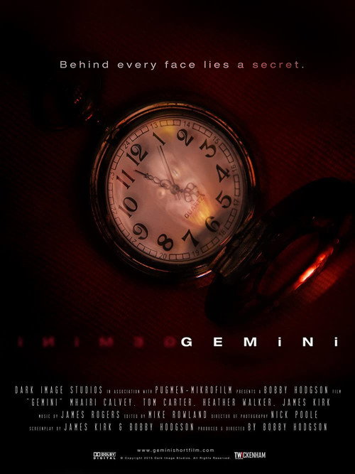 Movie poster for Gemini (2016)