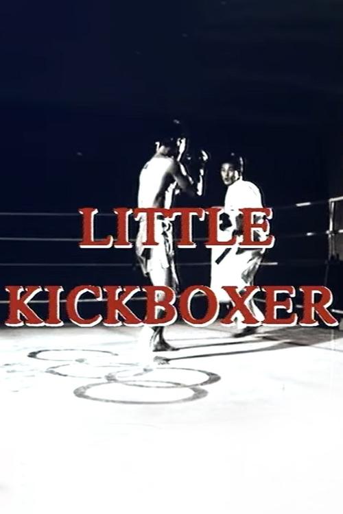 Movie poster for Thunder Ninja Kids 5: Little Kickboxer (1991)