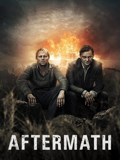 Movie poster for Aftermath (2012)