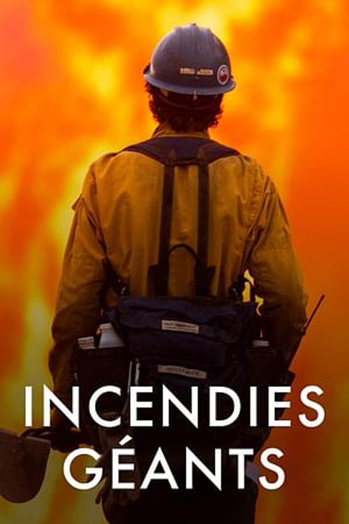 Movie poster for Megafires: The Global Threat (2020)