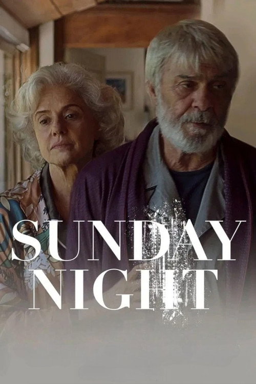 Movie poster for Sunday Night (2024)