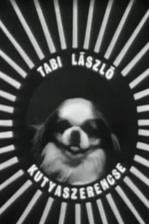 Movie poster for Kutyaszerencse (1967)