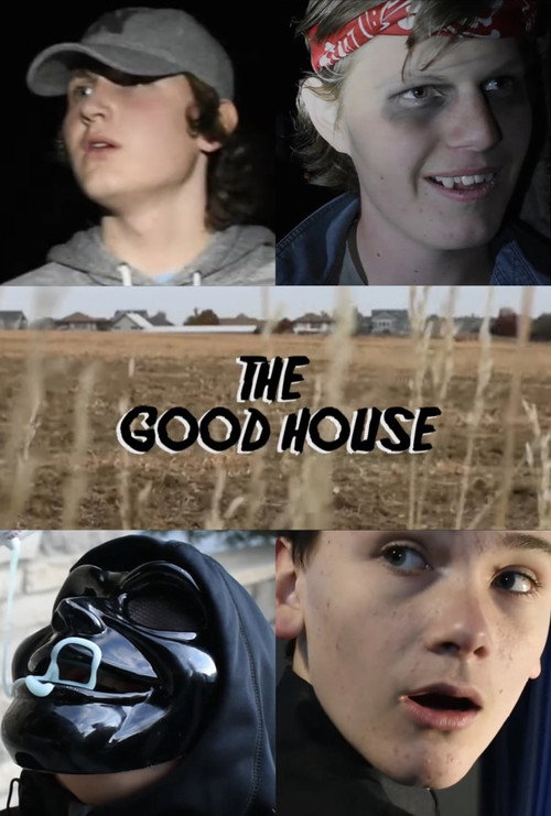 Movie poster for The Good House (2018)