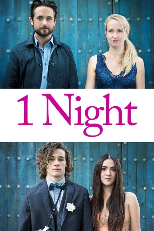 Movie poster for 1 Night (2016)