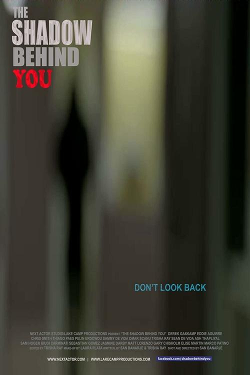 Movie poster for The Shadow Behind You (2015)