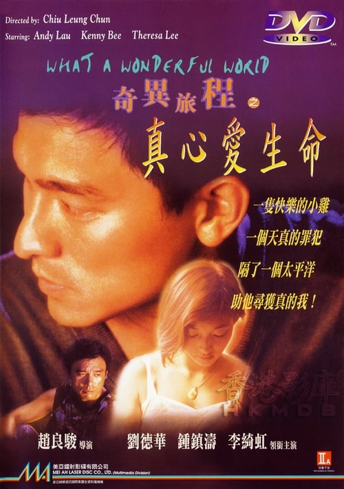 Movie poster for What a Wonderful World (1996)