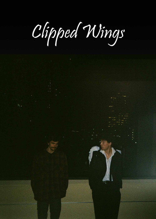 Movie poster for Clipped Wings