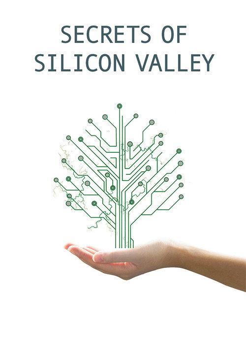 Series poster for Secrets of Silicon Valley (2017)