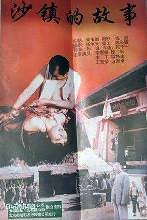 Movie poster for 沙镇的故事 (1996)