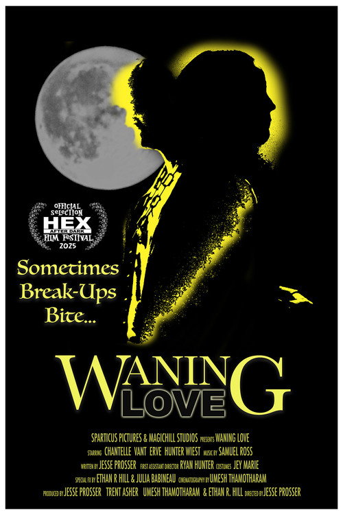 Movie poster for Waning Love