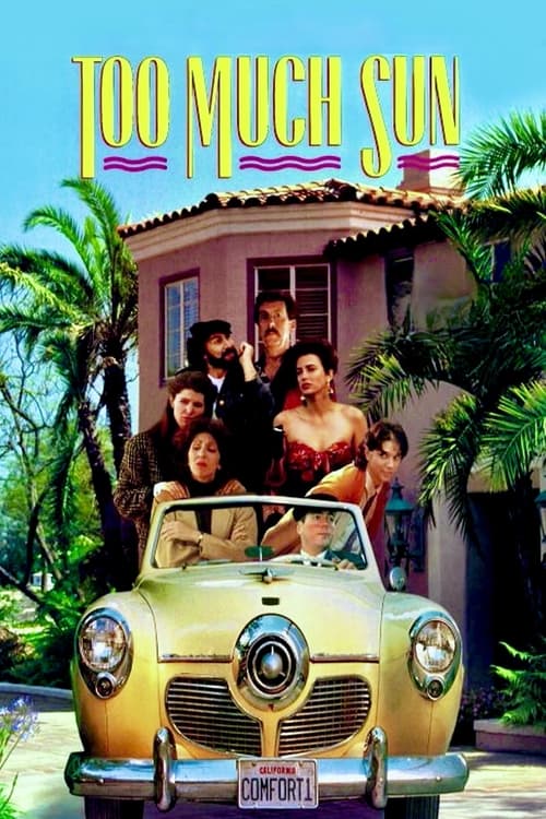 Movie poster for Too Much Sun (1991)