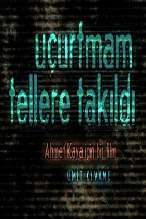 Movie poster for Uçurtmam Tellere Takıldı (2010)