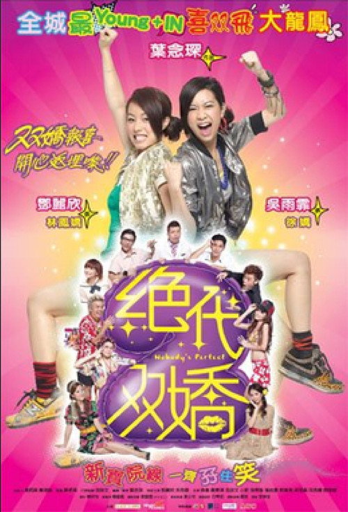 Movie poster for Nobody's Perfect (2008)