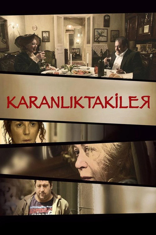 Movie poster for In Darkness (2009)