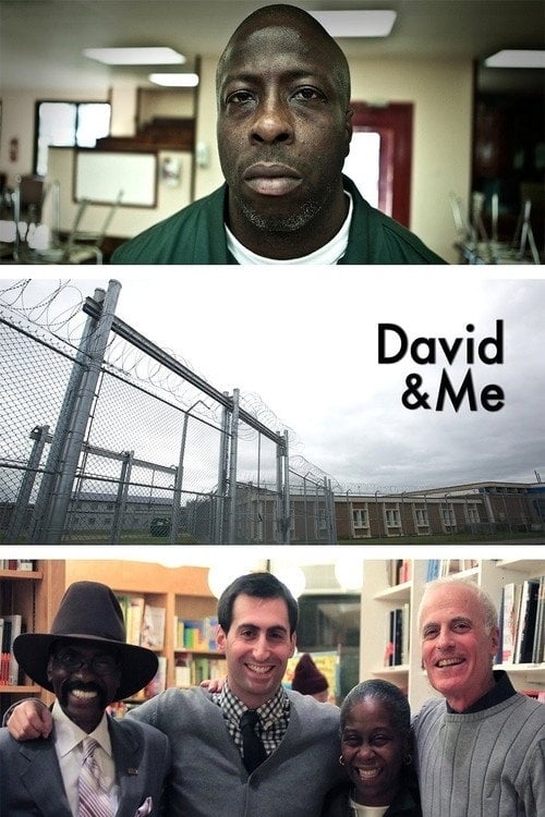 Movie poster for David & Me (2014)