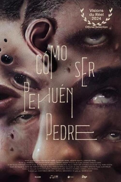 Movie poster for How to Be Pehuén Pedre (2024)