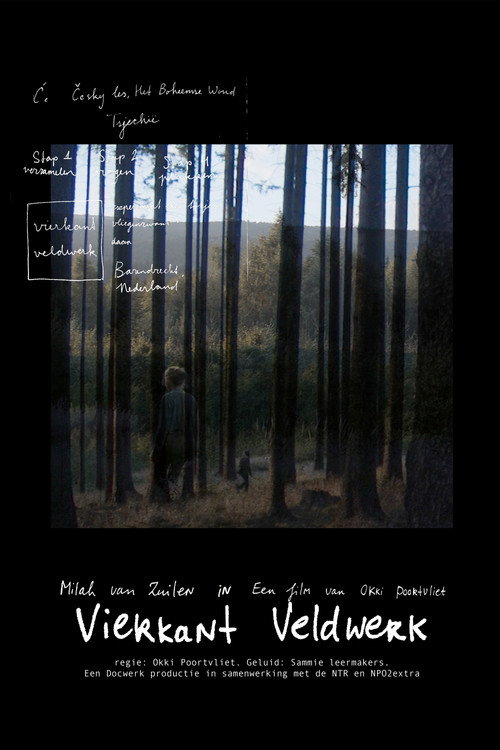 Movie poster for Square Fieldwork (2022)