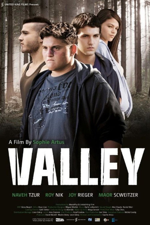 Movie poster for Valley (2014)