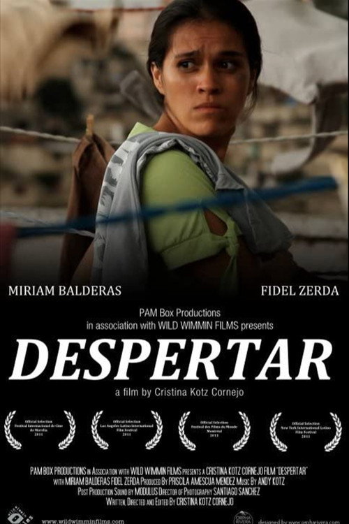 Movie poster for Despertar (2011)