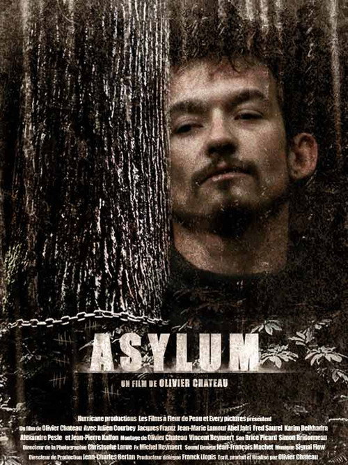 Movie poster for Asylum (2008)