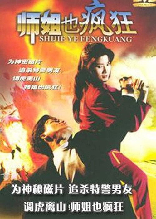 Movie poster for Yes Madam (1995)
