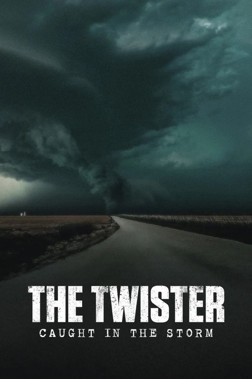 Movie poster for The Twister: Caught in the Storm (2025)
