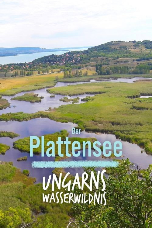 Movie poster for Terra Mater: Der Plattensee - Ungarns Wasserwildnis (2020)