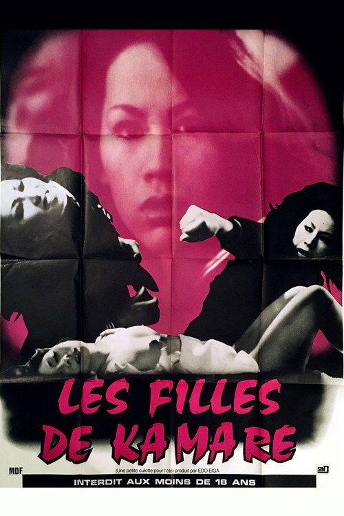 Movie poster for The Girls of Kamare (1974)