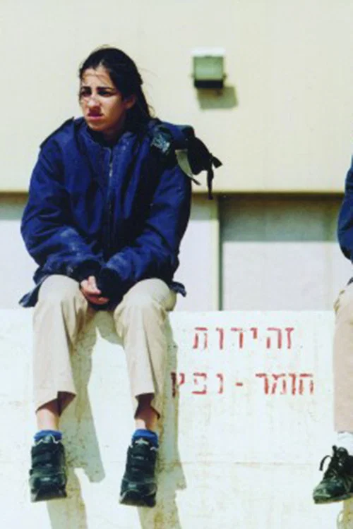 Movie poster for The Substitute (2006)