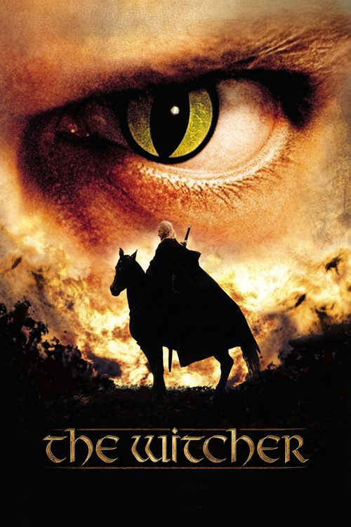 The Witcher poster