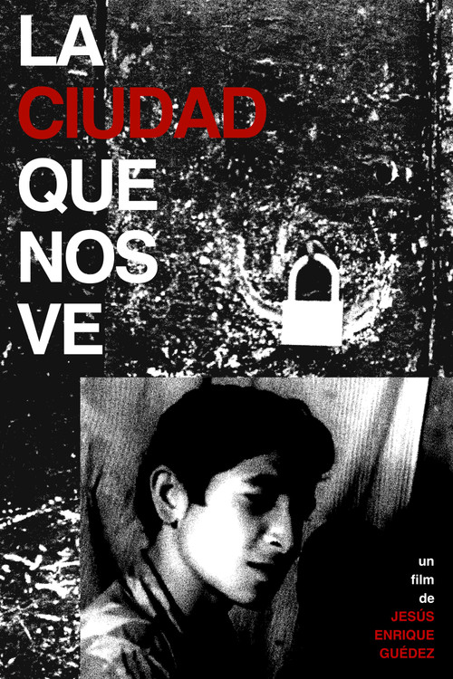 Movie poster for La ciudad que nos ve (1966)