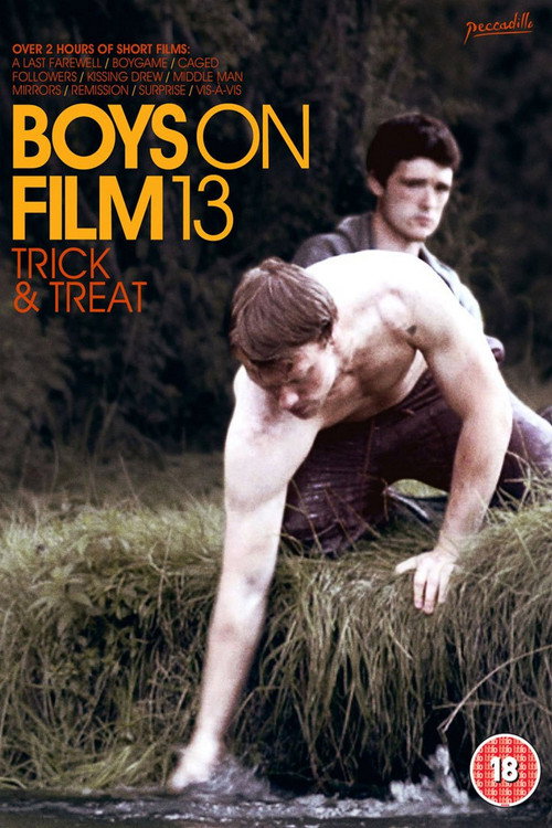 Movie poster for Boys On Film 13: Trick & Treat (2015)