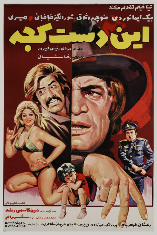 Movie poster for Thievish (1974)