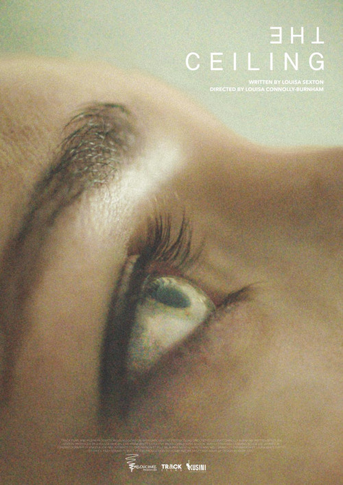 Movie poster for The Ceiling