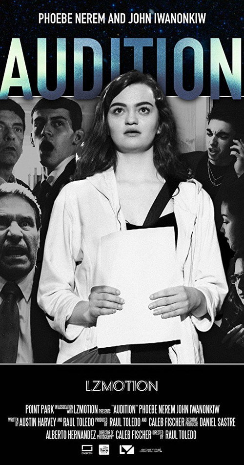Movie poster for Audition (2017)